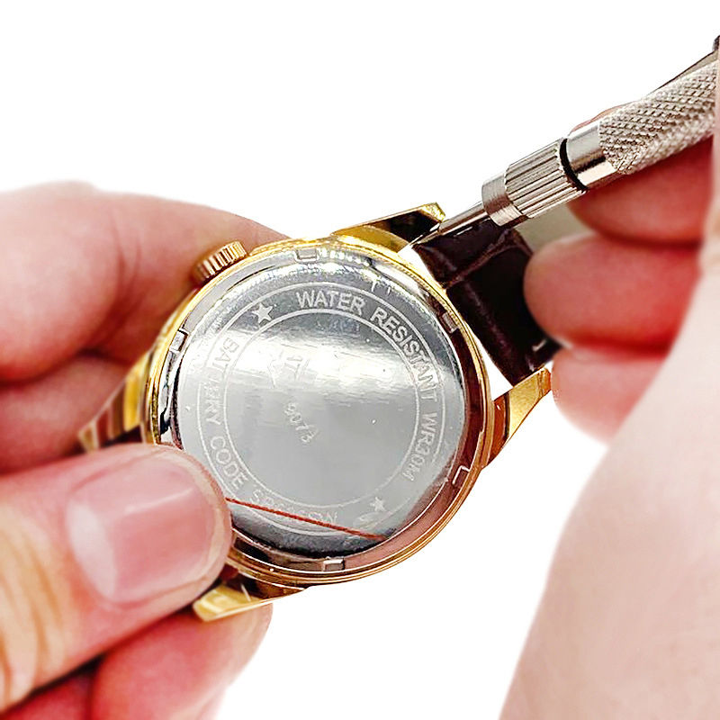 4Pin Replace Watch Strap Sprin - Spring Bar Tool Set recensione e prezzo