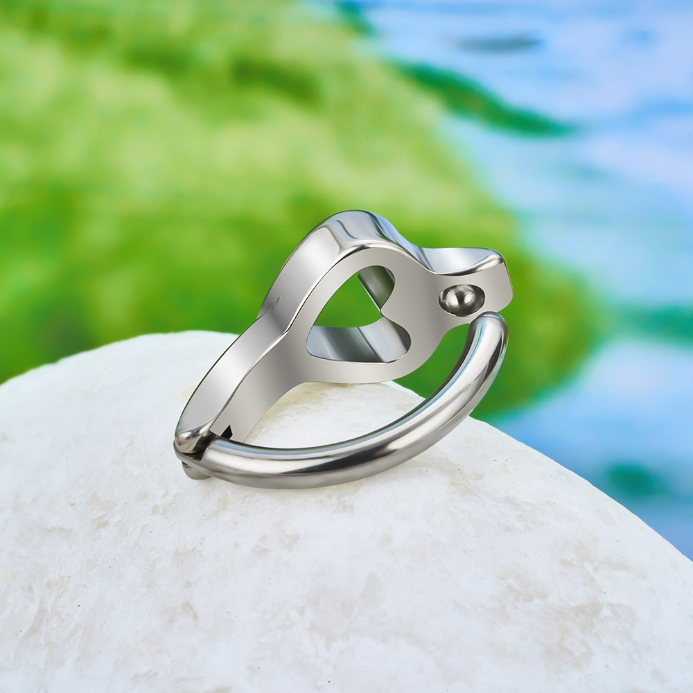 ASTM F136 Titanium 14G/16G Bel - Curved Spring Bar recensione e prezzo